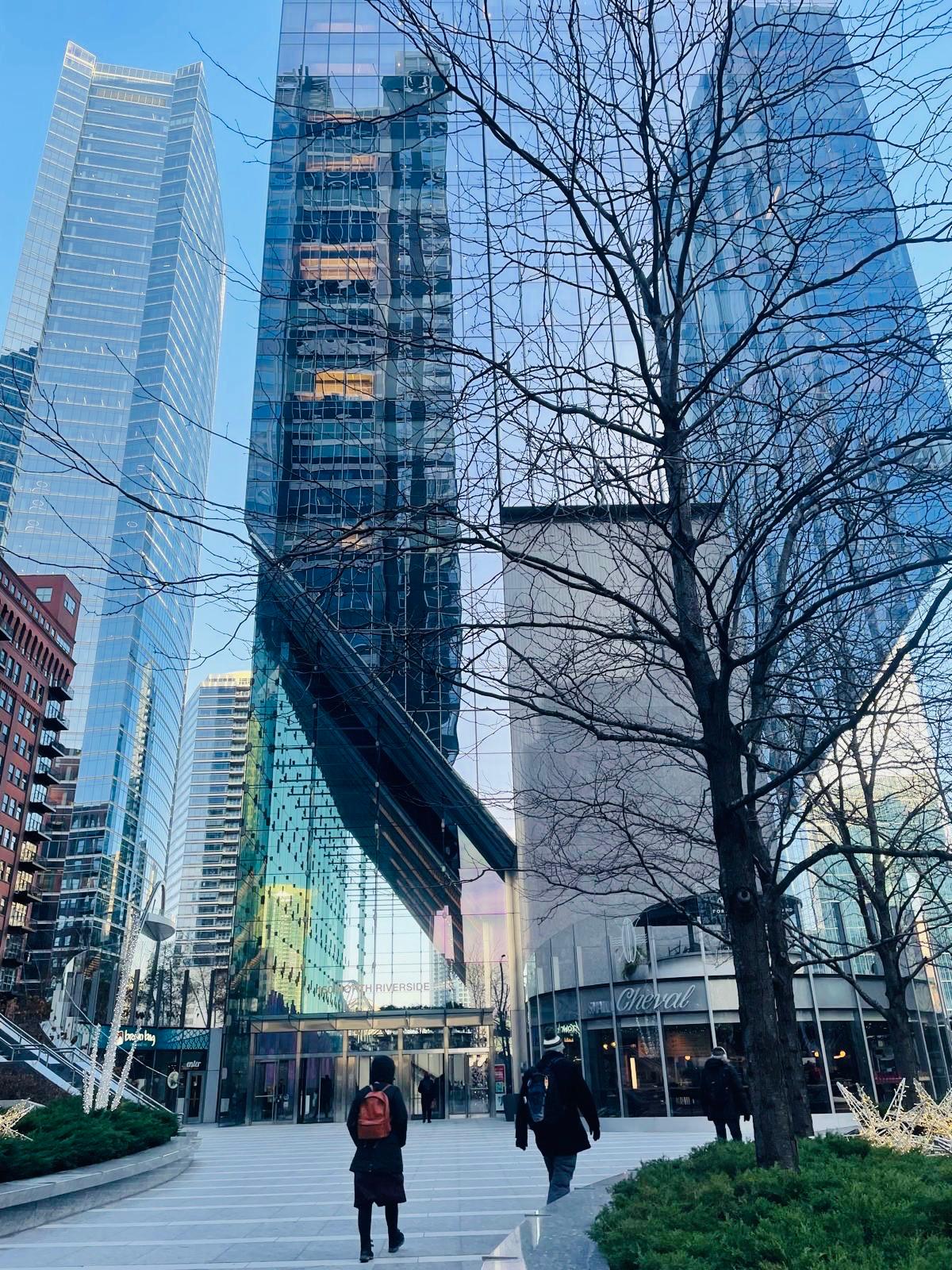 Professional consulting environment